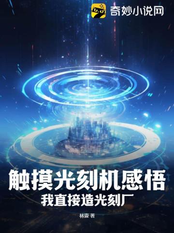 触摸光刻机感悟,我直接造光刻厂！